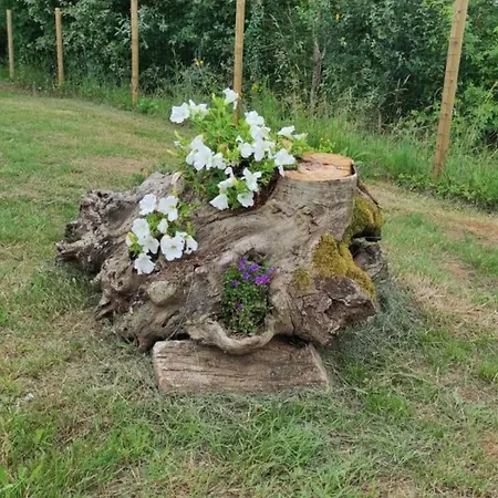 3 Avec Jardin Et Animaux Acceptes, Pres De - Fr-1-616-370 Σπίτι διακοπών Sarlat-la-Caneda